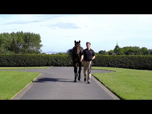 Proisir x Twenty One Times '24 Colt