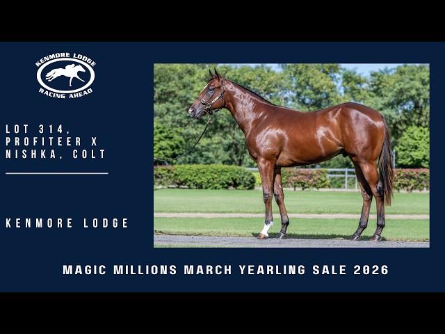 Profiteer x Nishka 24C