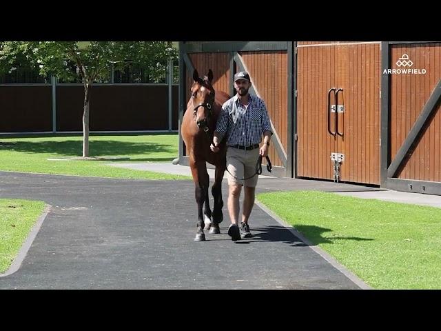 The Autumn Sun/Meraki Miss '24