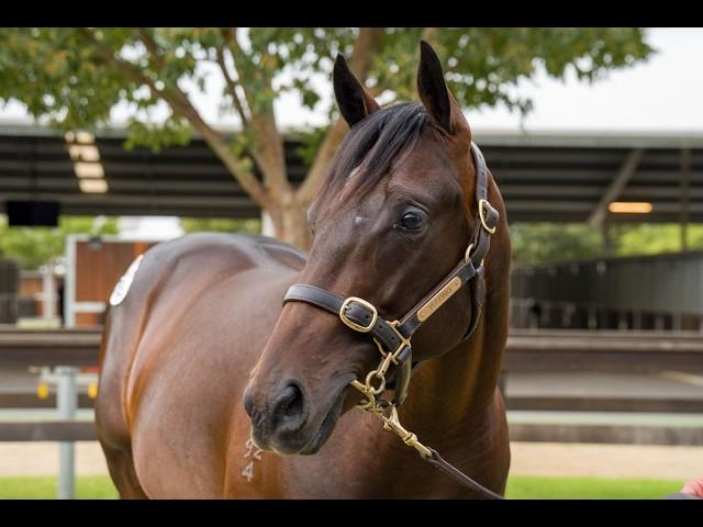 Diatonic x Diamond Delight