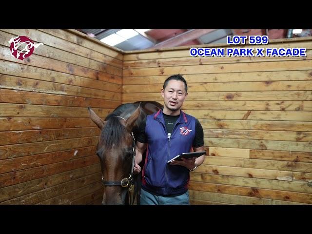 Ocean Park x Facade