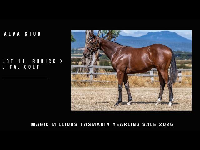 2024 Rubick x Lita Colt