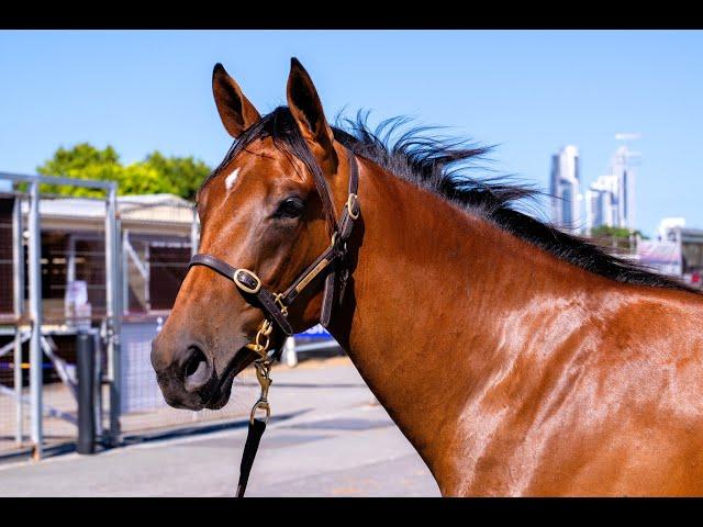 In The Congo X She's Bobby's Girl