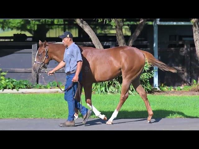 Anders x Why're You Waiting 23