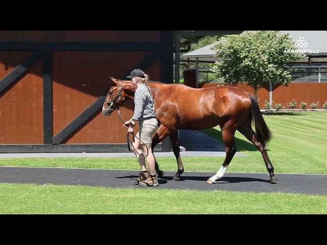 Snitzel/Debonnaire '23