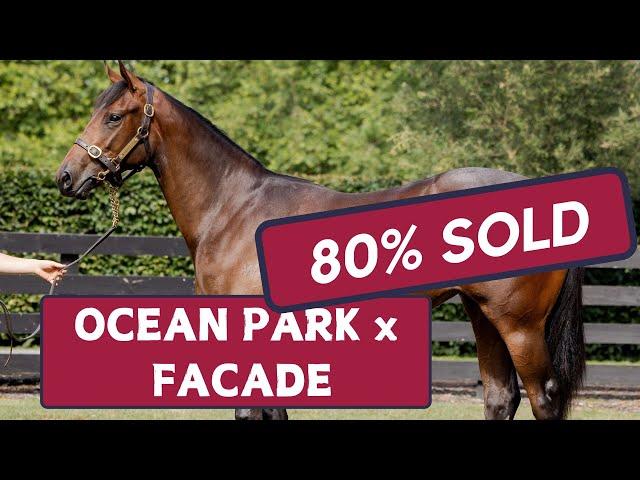 Ocean Park x Facade