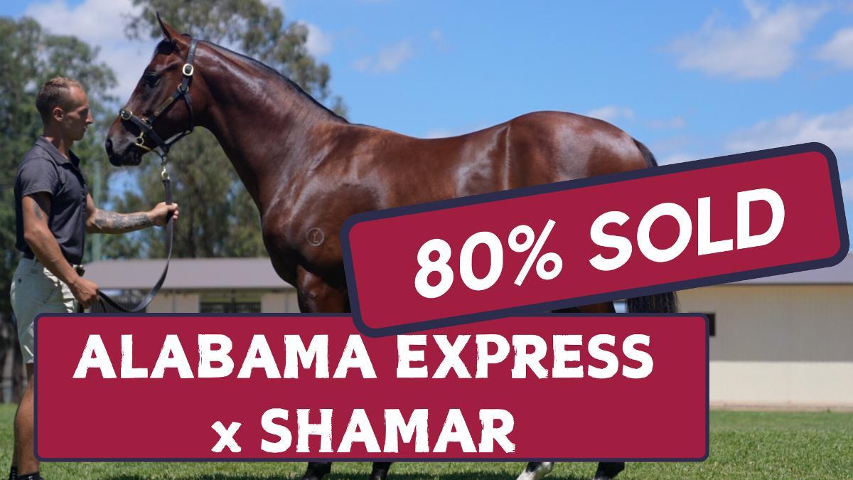 Alabama Express x Shamar