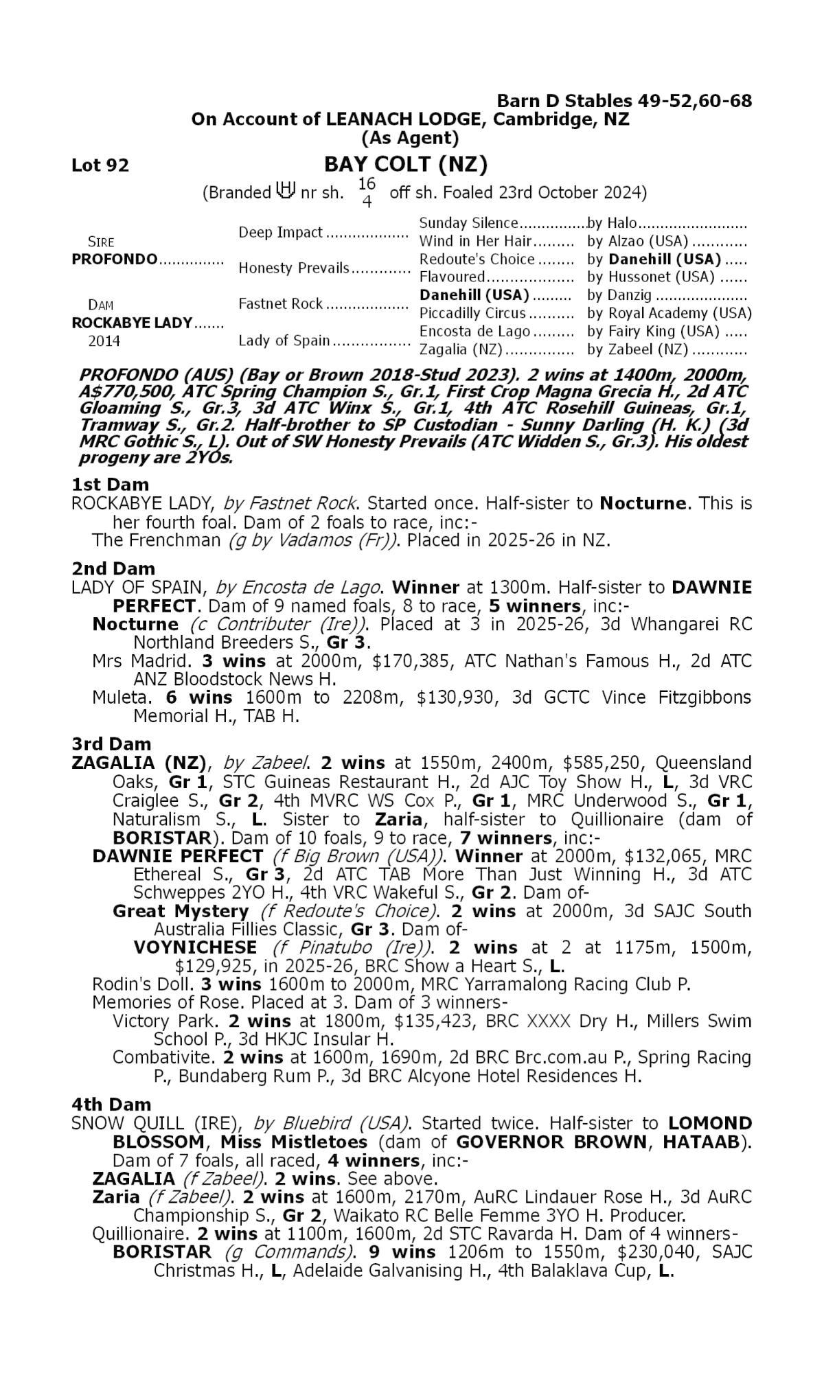 Profondo x Rockabye Lady Colt 24'