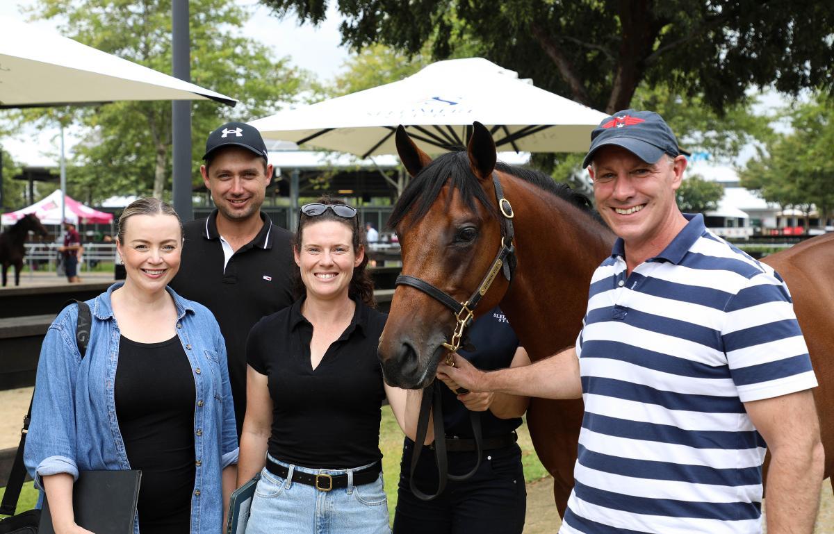 Too Darn Hot x Saunter colt