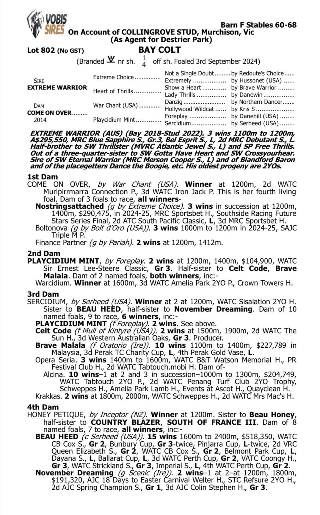 Extreme Warrior x Come On Over '24 Colt