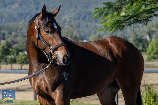 Empress Me x Lean Mean Machine '21