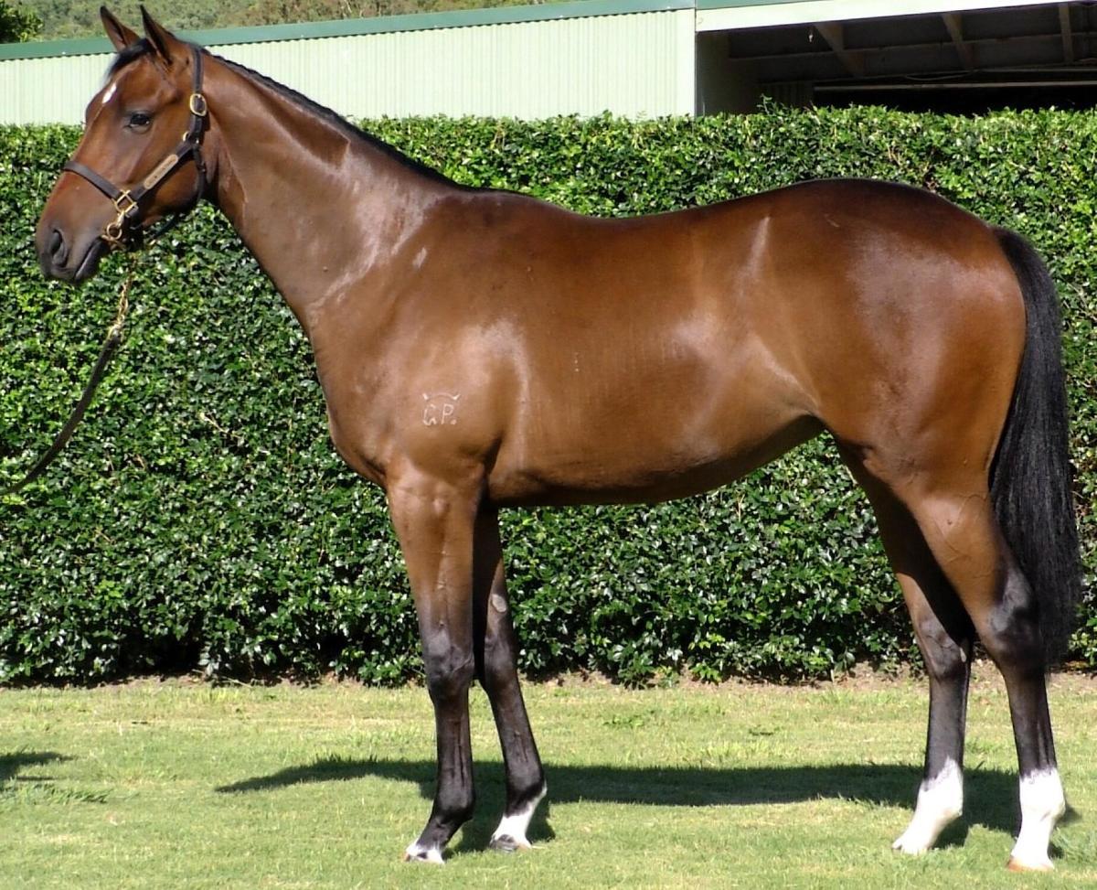 Brave Smash x Pindan Pearl