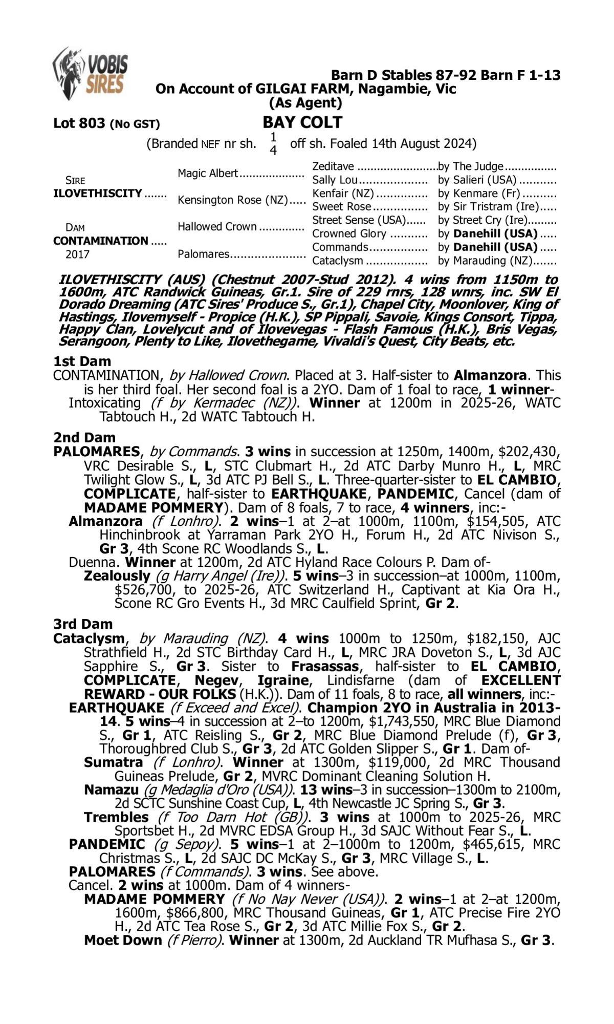 Ilovethiscity x Contamination