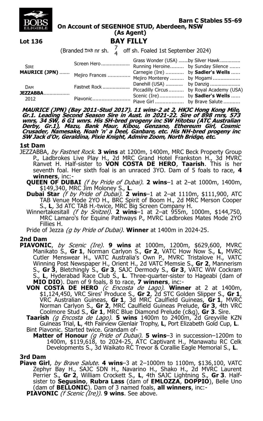 Maurice x Jezzabba '24 Filly