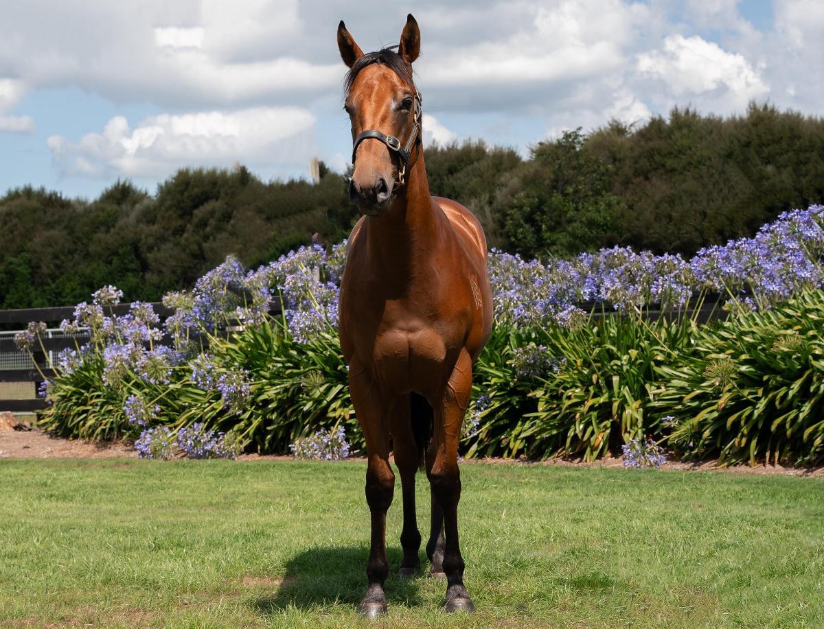 Super Seth x Wintour