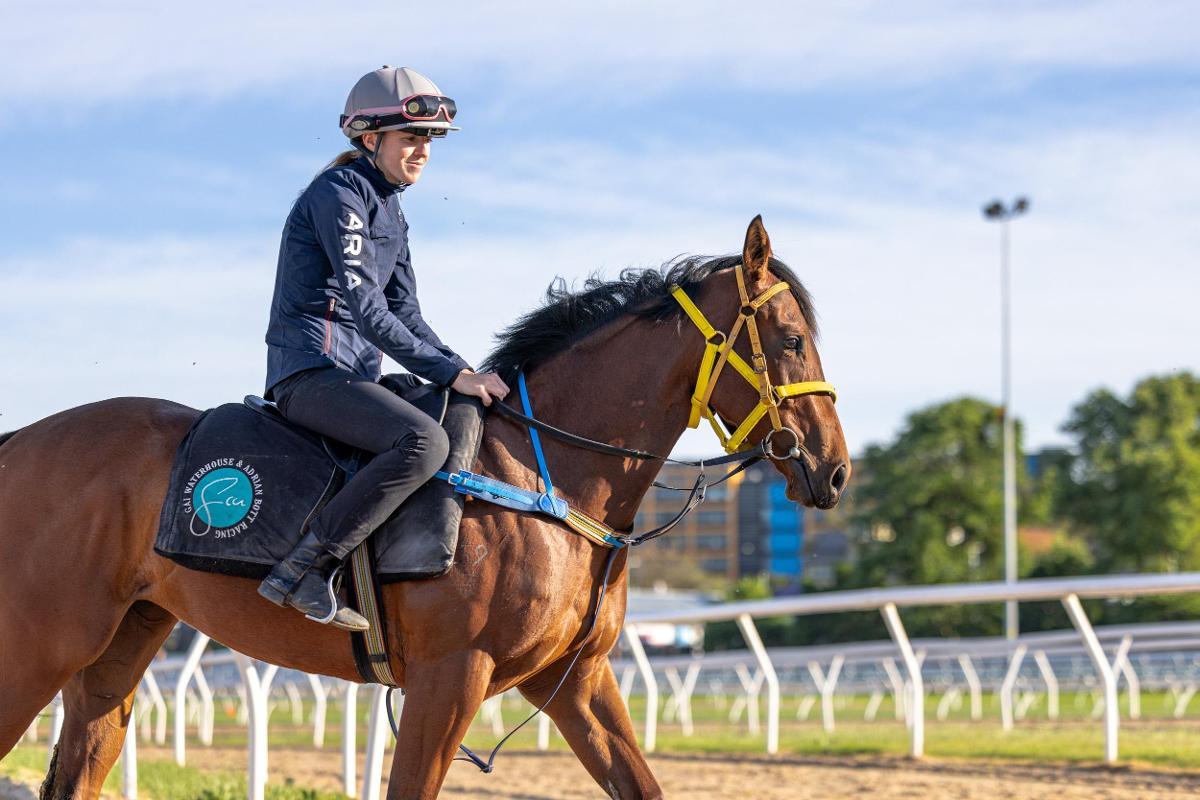 Maurice/Flying Evelyn '23