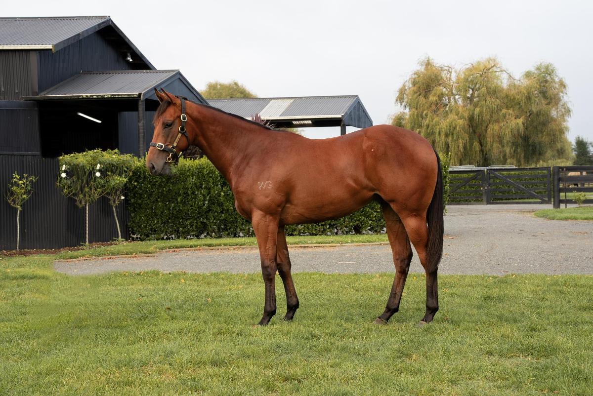 Super Seth x Wintour