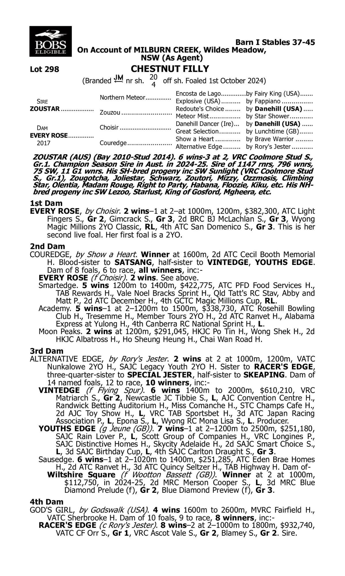 Zoustar x Every Rose filly