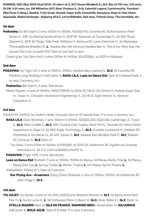 Dundeel x Podravina NZ Filly