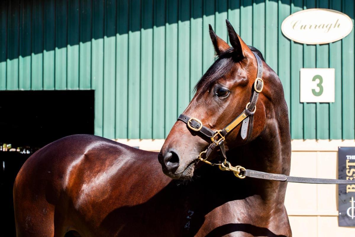 Grunt x Wichita Woman