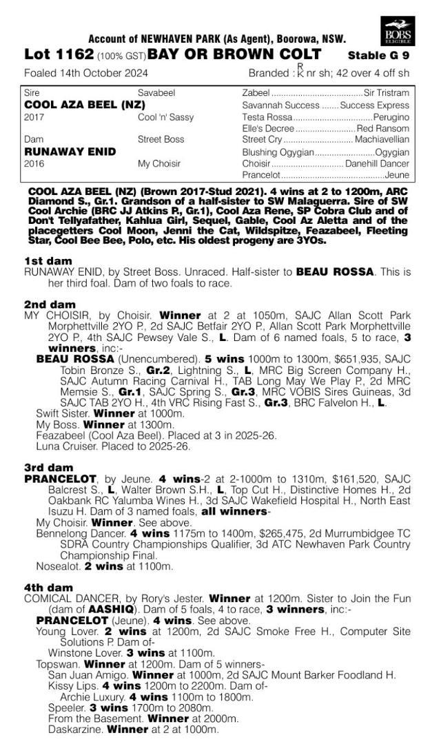 Cool Aza Beel x Runaway Enid 24C