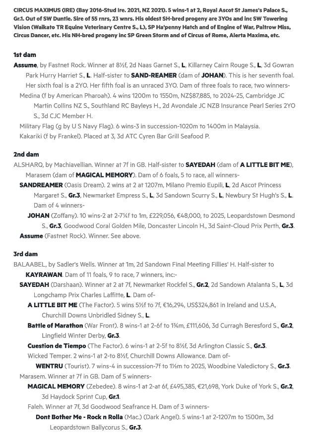 Circus Maximus X Assume Oaks Filly NZ