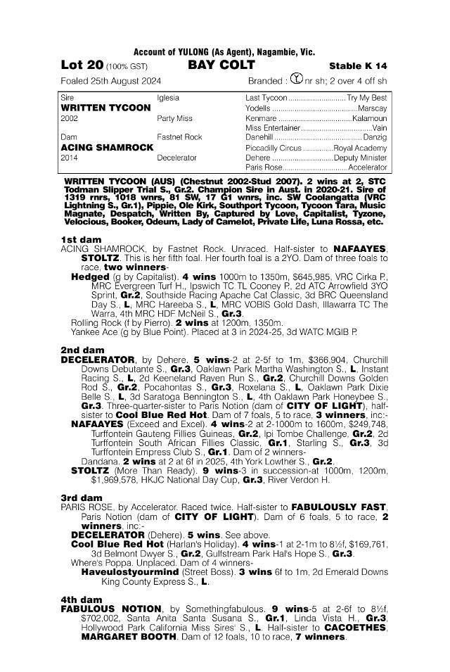 Written Tycoon x Acing Shamrock