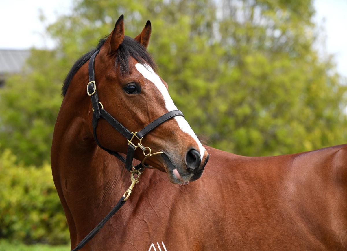 Churchill x Tsarina 23