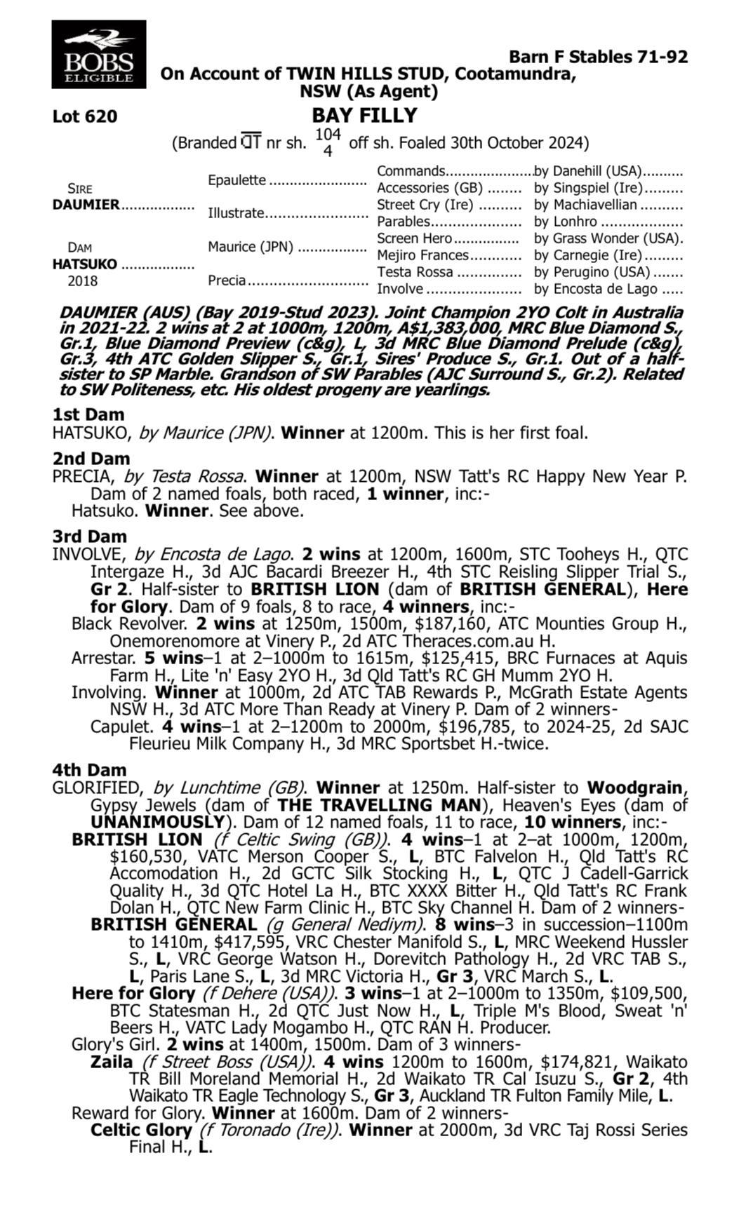 Daumier x Hatsuko '24 Filly