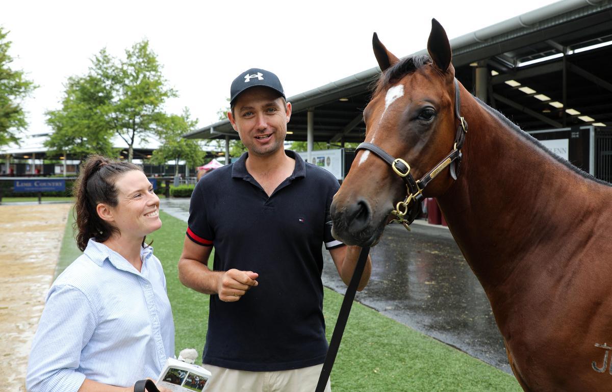 D'Argento x Genie (Snitzel) colt