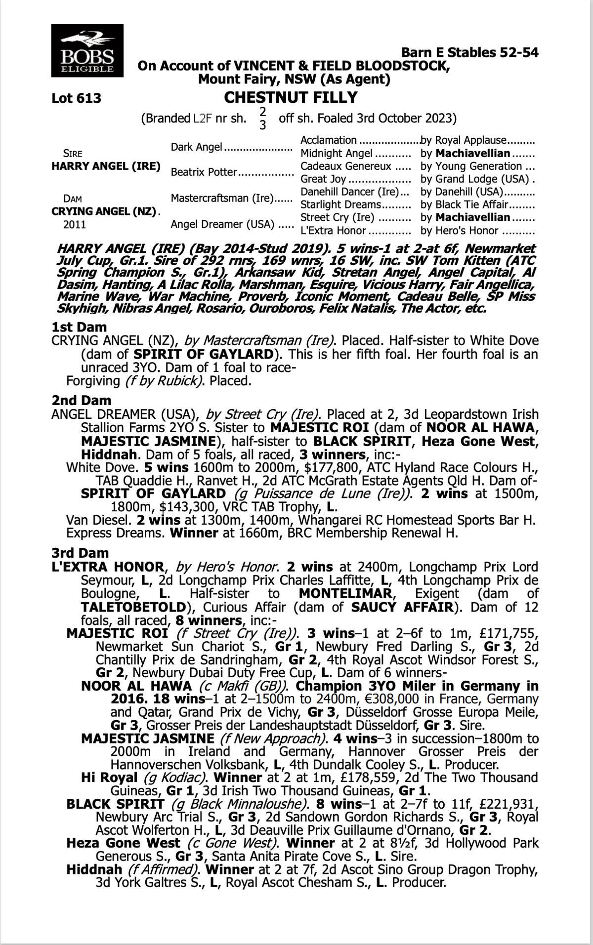 Harry Angel - Crying Angel filly