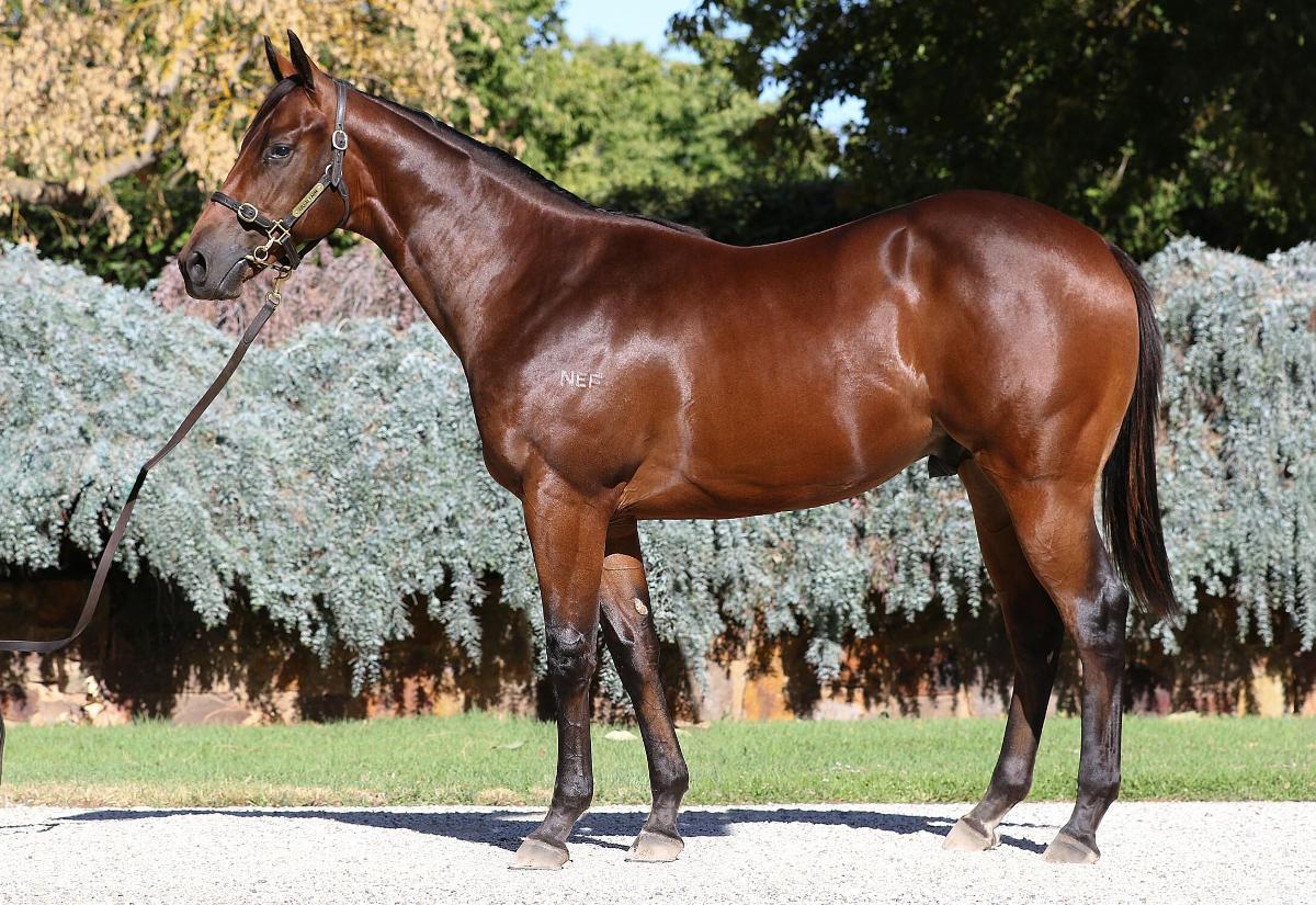 Ilovethiscity x Contamination