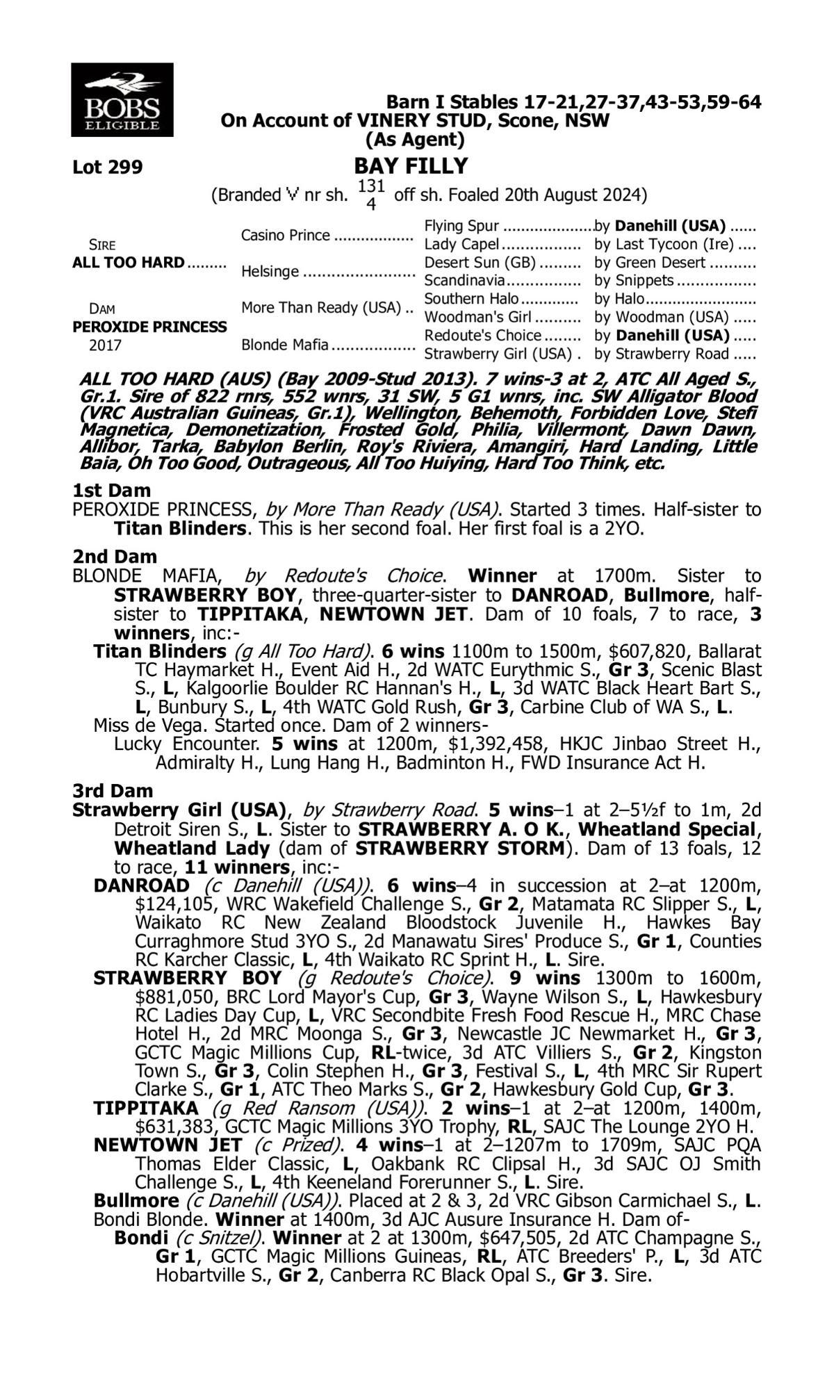 All Too Hard x Peroxide Princess '24 Filly - 67.5% Remaining (colours available)