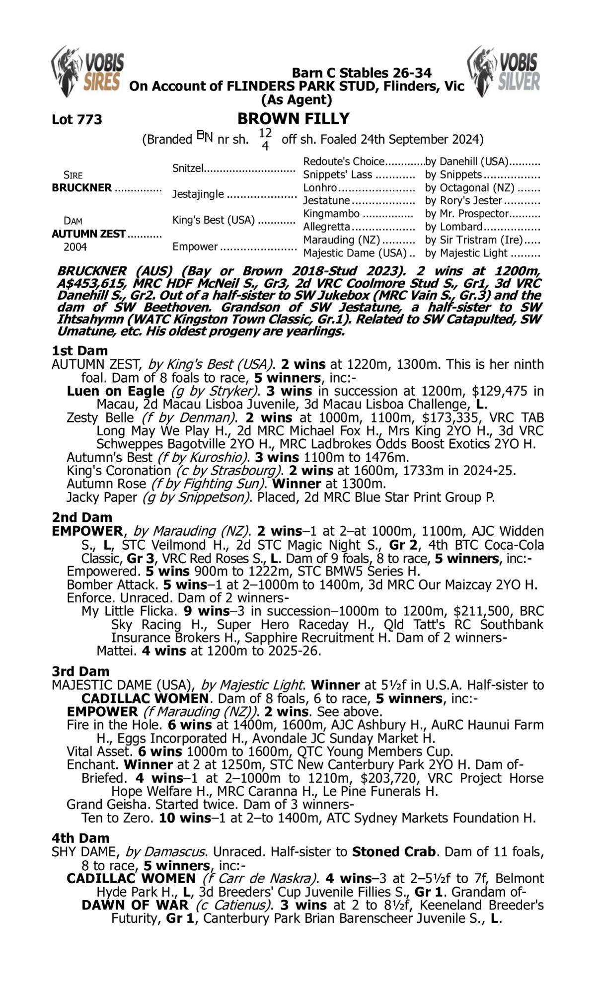 Bruckner x Autumn Zest Filly