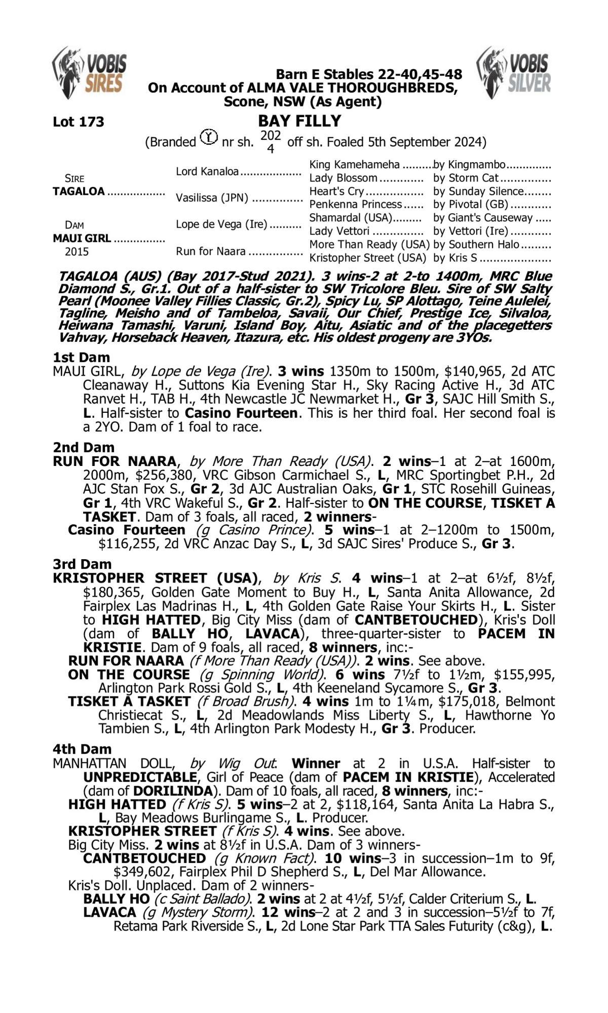 Tagaloa X Maui Girl '26 Filly