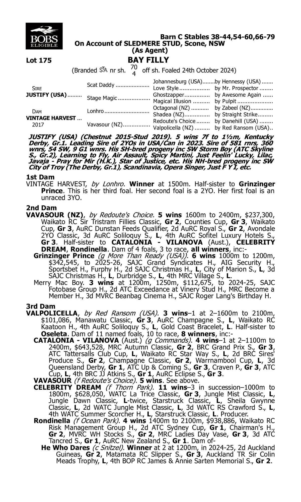 Justify / Vintage Harvest 24 F