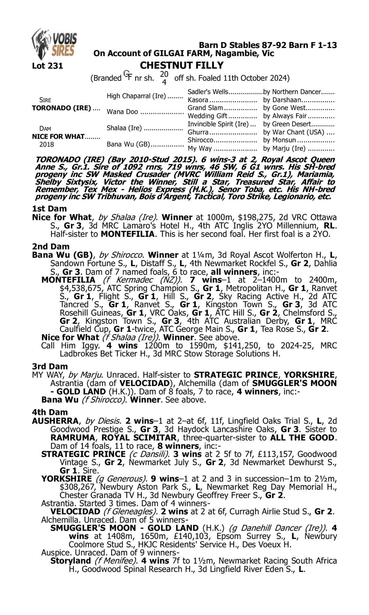 Toronado / Nice For What 24 F