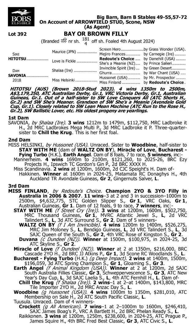 Hitotsu x Savonia 24F