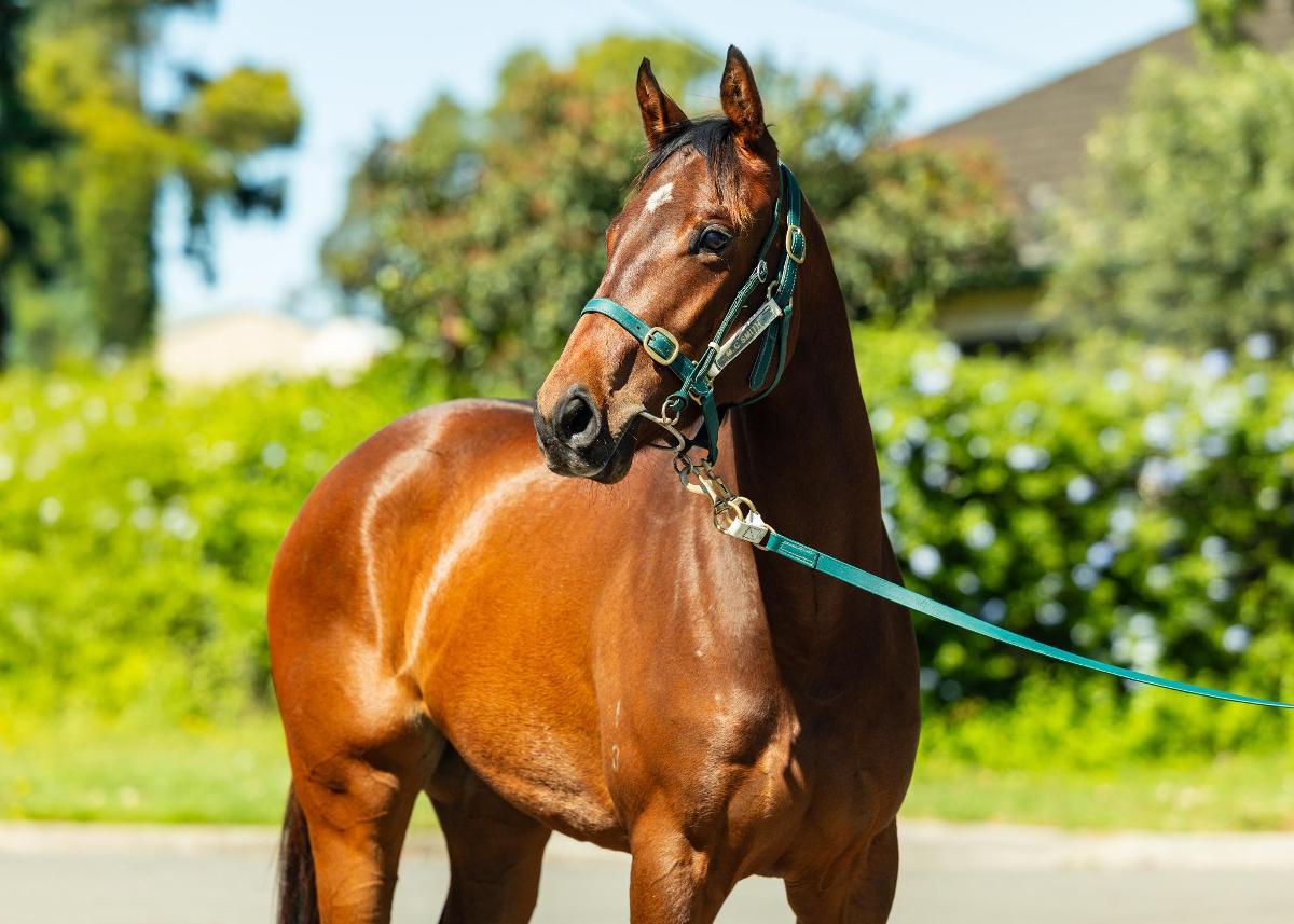 Encryption x Tricky Mix '23