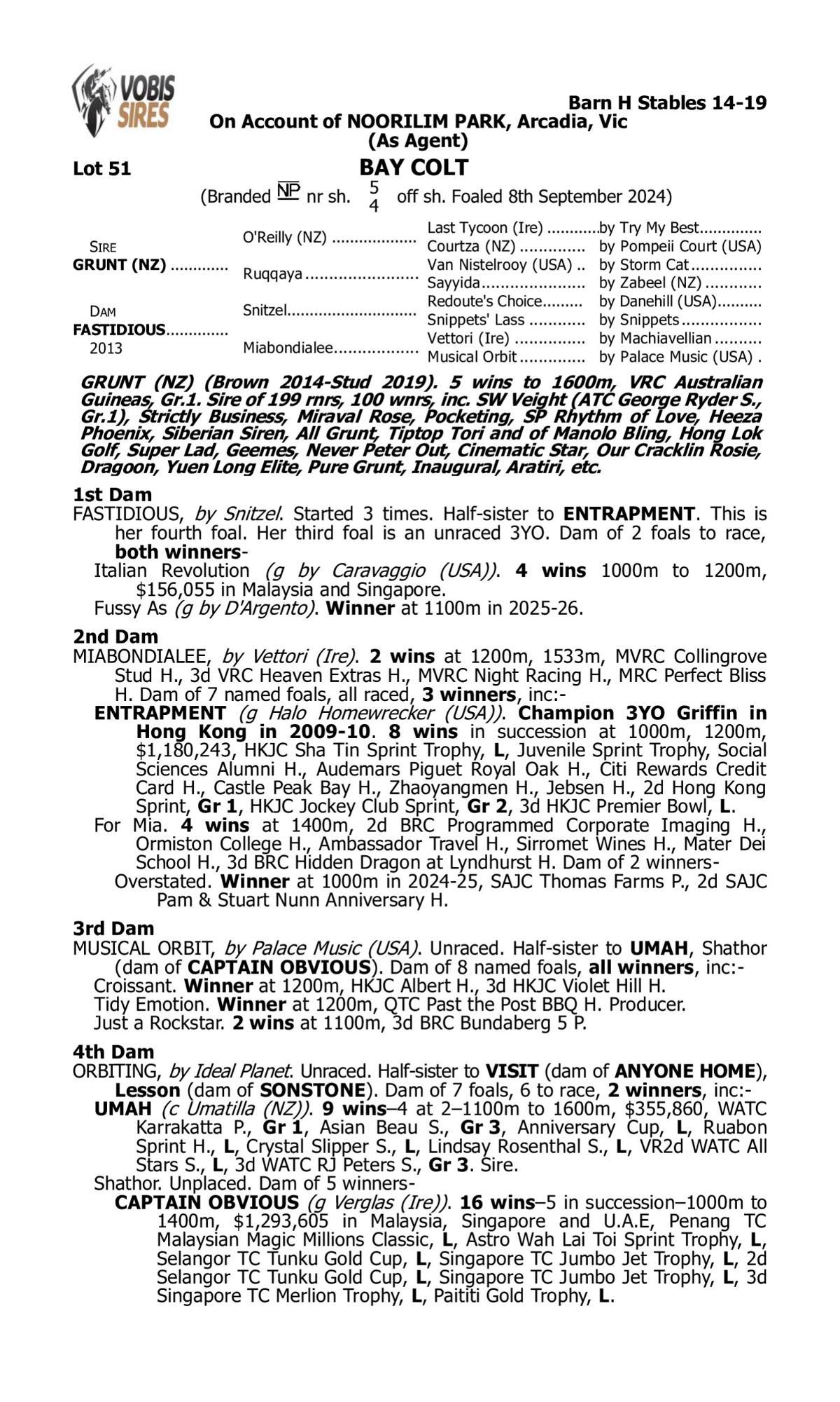 Grunt x Fastidious '24