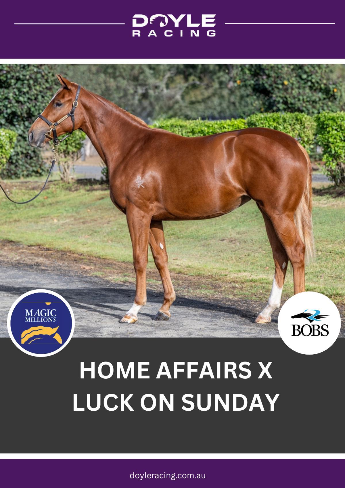 Home Affairs x Luck on Sunday