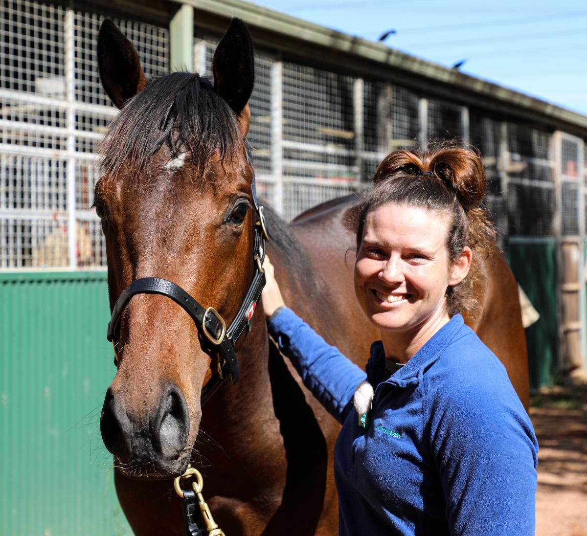 Pierro x Walk This Way (IRE) colt