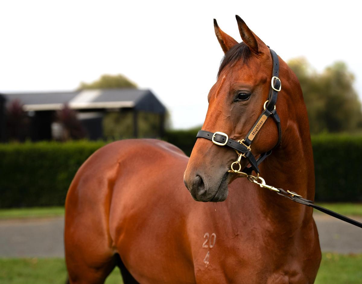 Super Seth x Wintour