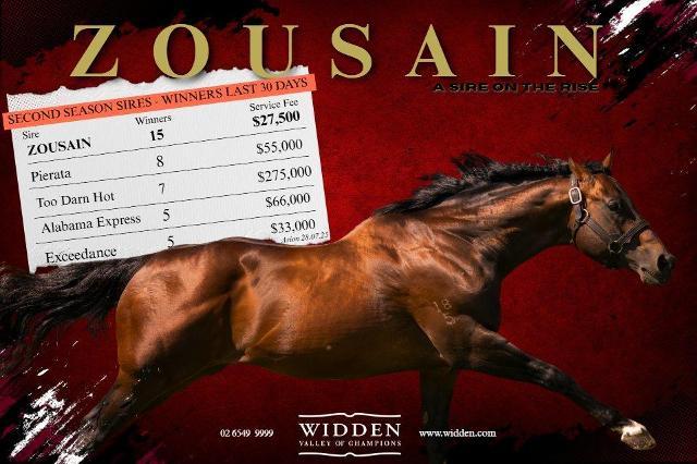 Zousain x Here De Joy '23 - 10% LEFT