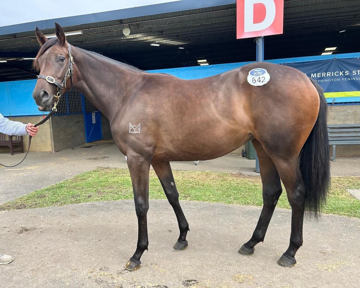 So You Think x Kylia