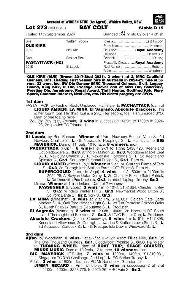 Ole Kirk x Fastattack'24 Colt