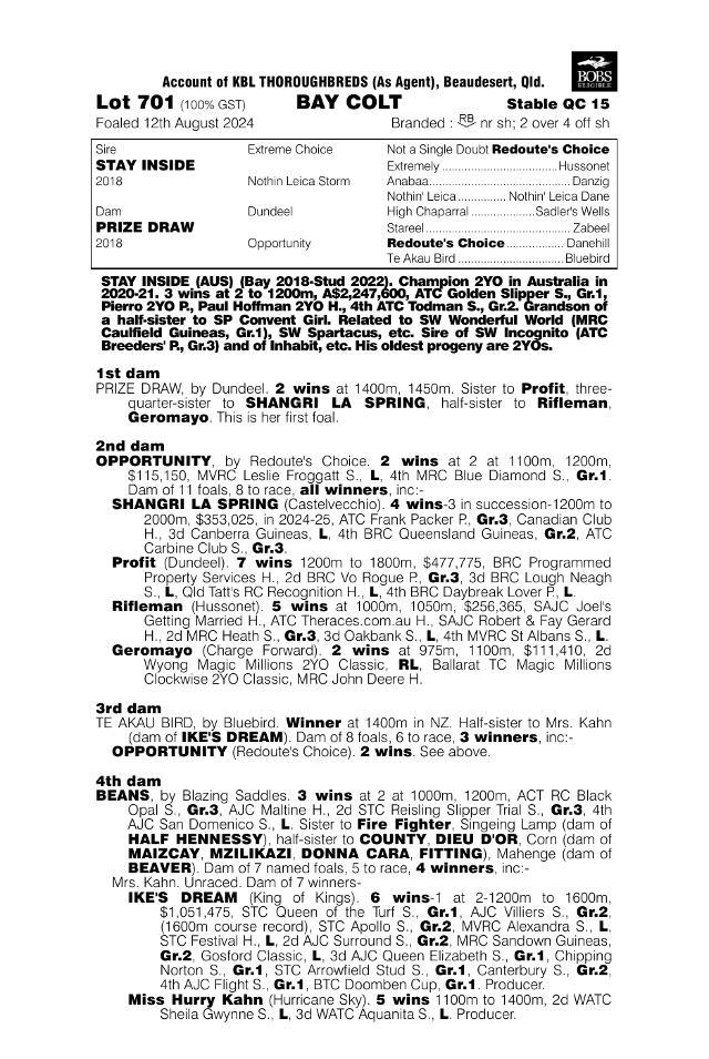 Stay Inside x Prize Draw colt