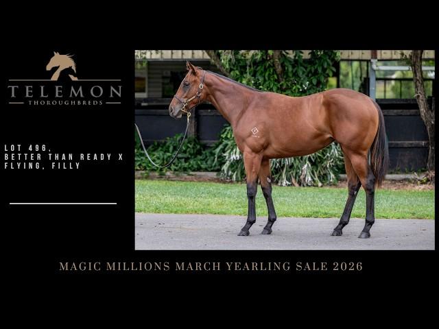 Better Than Ready x Flying 24F