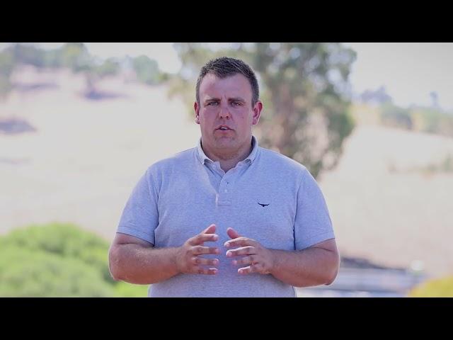 Anders x Scrutineer '23 Colt (Thoroughbred)