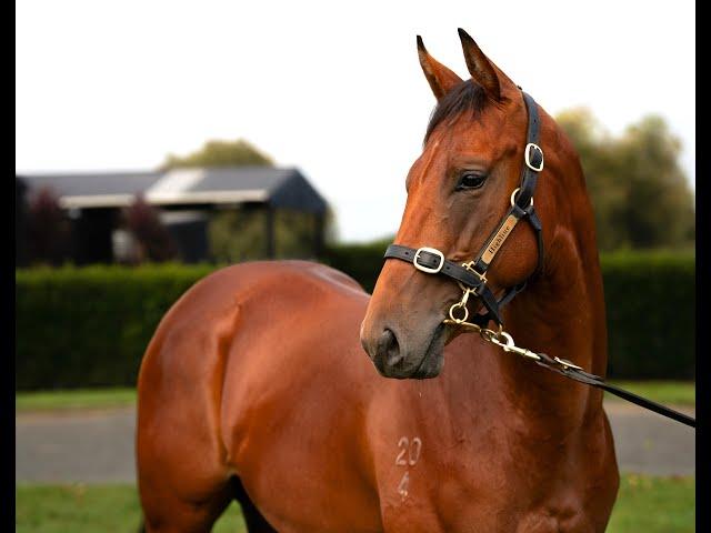 Super Seth x Wintour